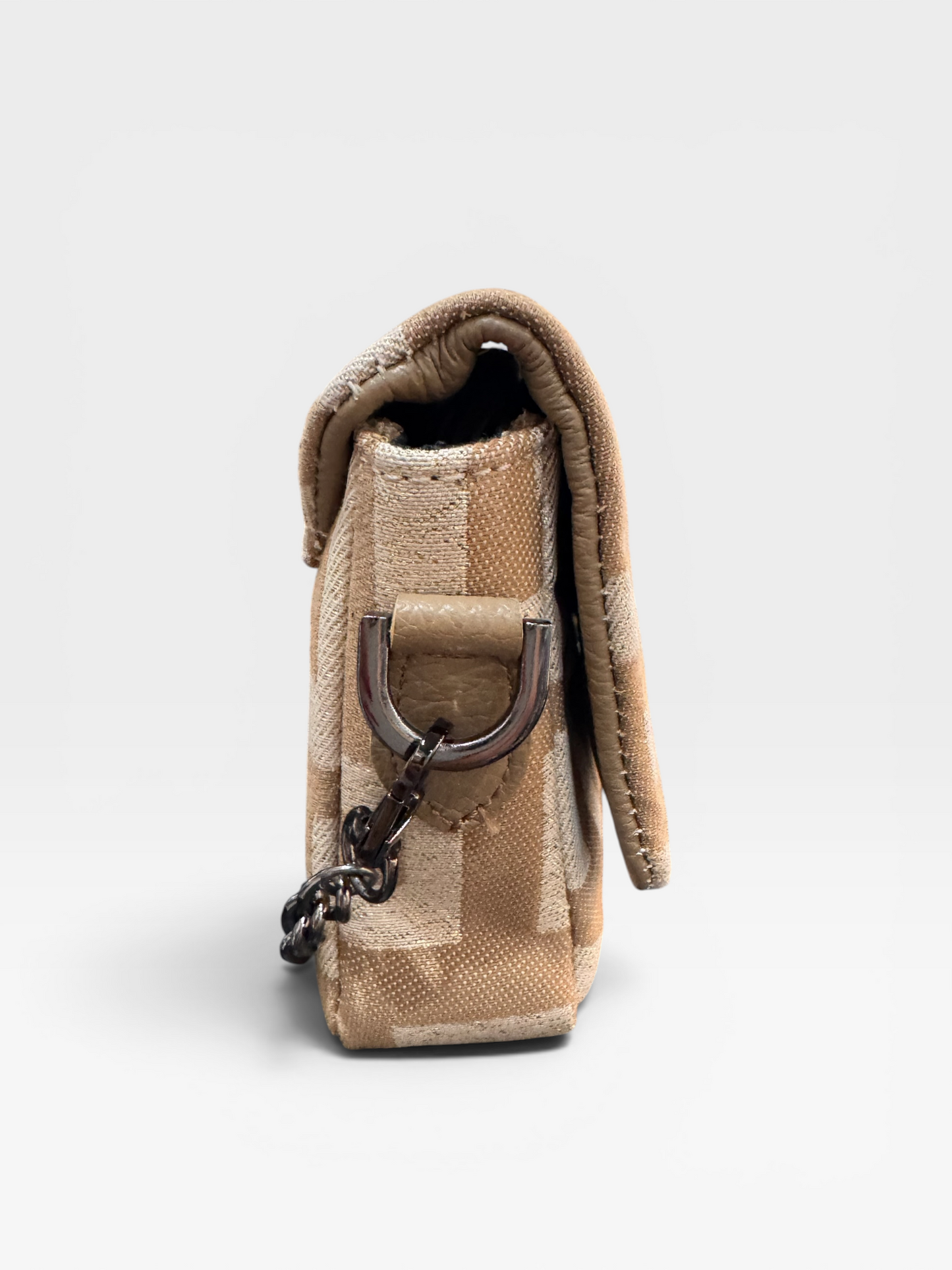 Asimina Small Chain Bag